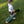 Load image into Gallery viewer, Camino Lil Niño Toddler Sunday Carry Golf Bag Vintage Green