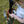 Load image into Gallery viewer, Camino Lil Niño Toddler Sunday Carry Golf Bag Vintage Green