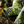Load image into Gallery viewer, "Cactus Camo" Blade Putter Cover