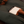 Load image into Gallery viewer, Vintage Green Sunday Carry Golf Bag