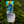 Load image into Gallery viewer, "Stay Wavy" Blade Putter Cover